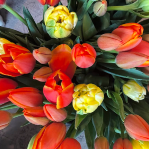 Wild Aster Farm Tulip Bouquet
